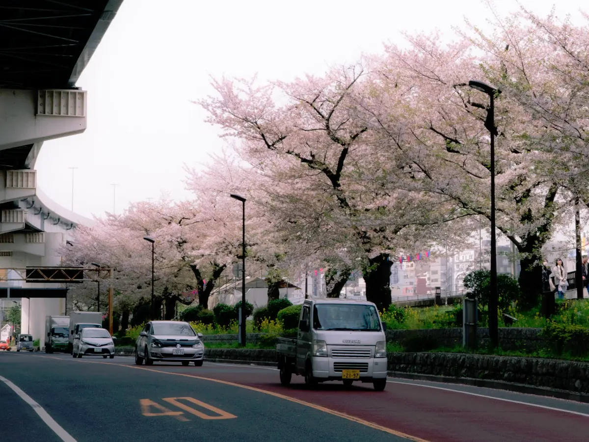 Japan