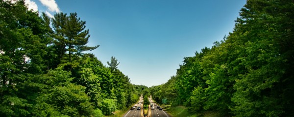 State Routes 49 And 14a