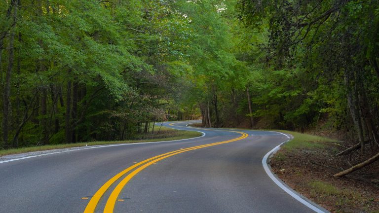 Historic Effingham-Ebenezer Scenic Byway