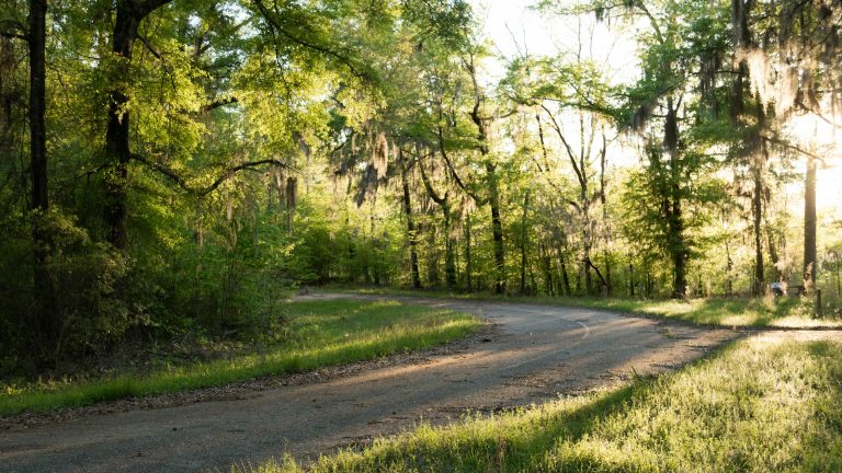 Northwest Louisiana Scenic Byway