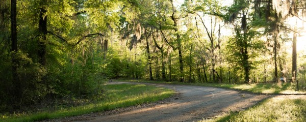 Jean Lafitte Scenic Byway