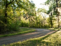 Toledo Bend Forest Scenic Byway