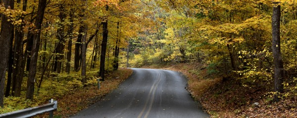 Roots And Tides Byway