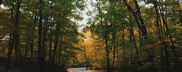 Black River Scenic Byway