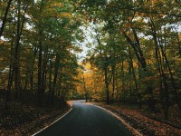 Black River Scenic Byway