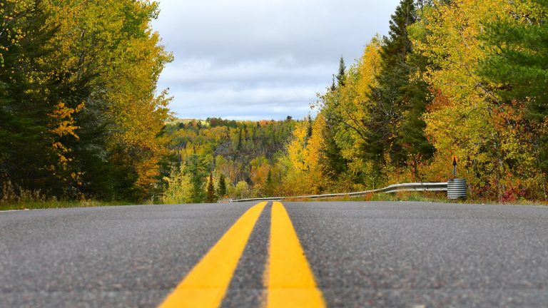Shooting Streetar Wildflower And Historic Route Scenic Byway
