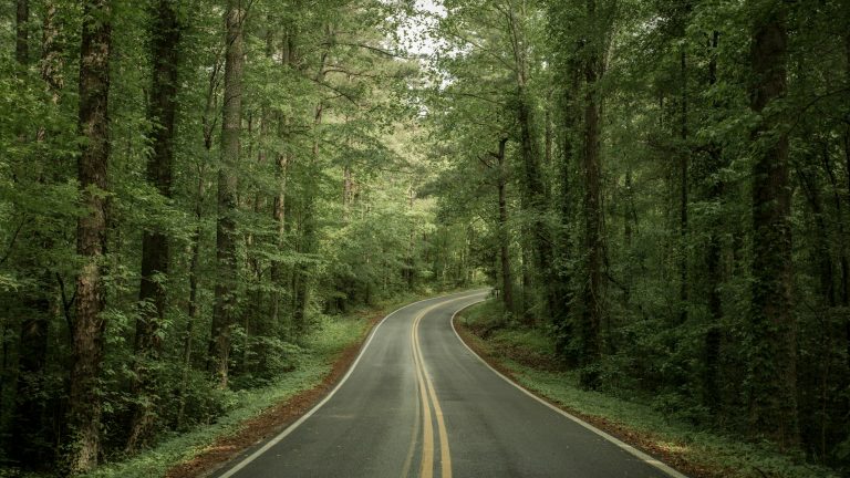 Lookout Mountain Parkway