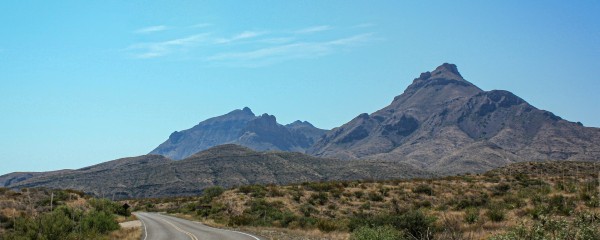 Texas Forest Trail