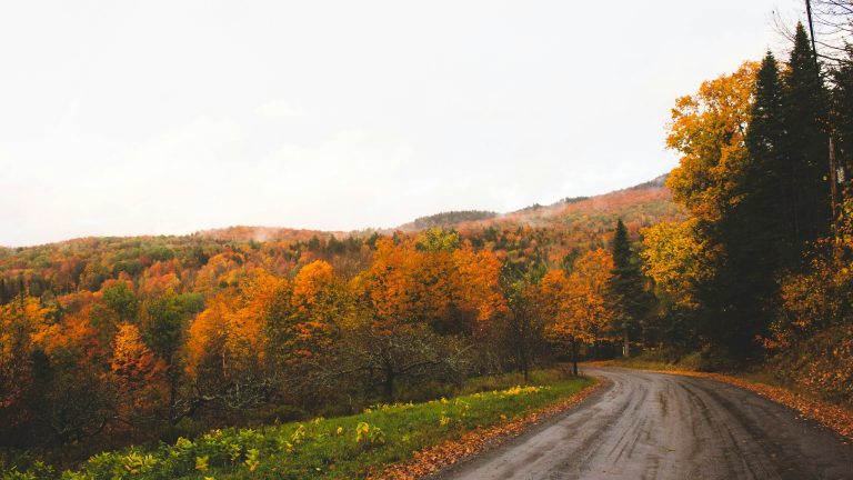 Stone Valley Byway