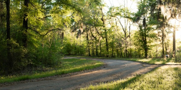 Zydeco Cajun Prairie Scenic Byway