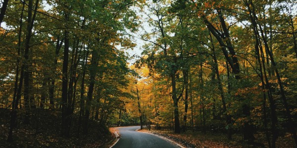 Black River Scenic Byway
