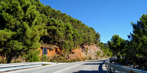 Ronda Road (A-397)