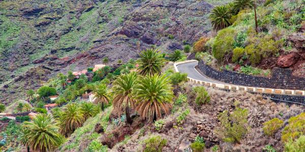 Masca Valley (TF-436)