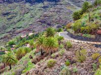 Masca Valley (TF-436)