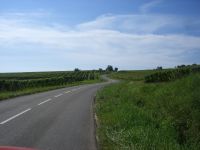 Route des Vins d'Alsace
