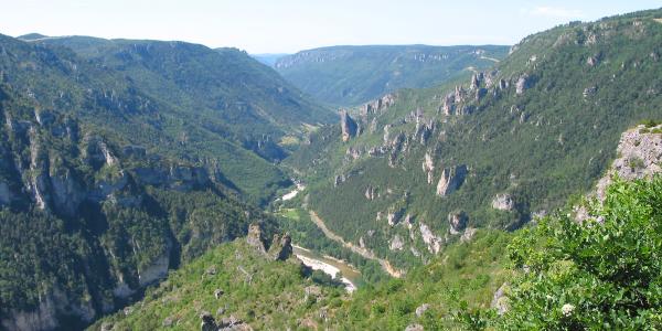 Sublime Corniche (Gorges du Tarn)