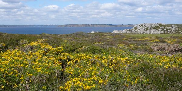 Presqu'île de Crozon (D887)