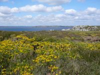 Presqu'île de Crozon (D887)