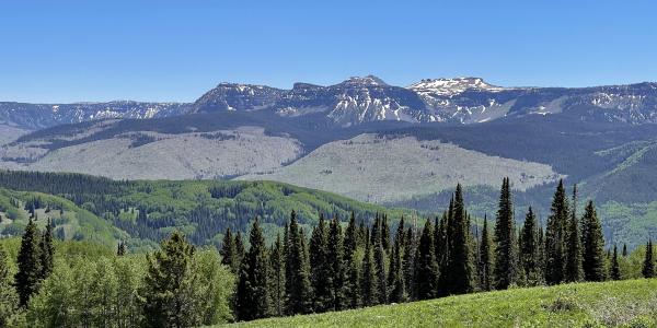 Flat Tops Trail