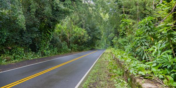 Hana Highway