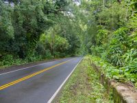 Hana Highway