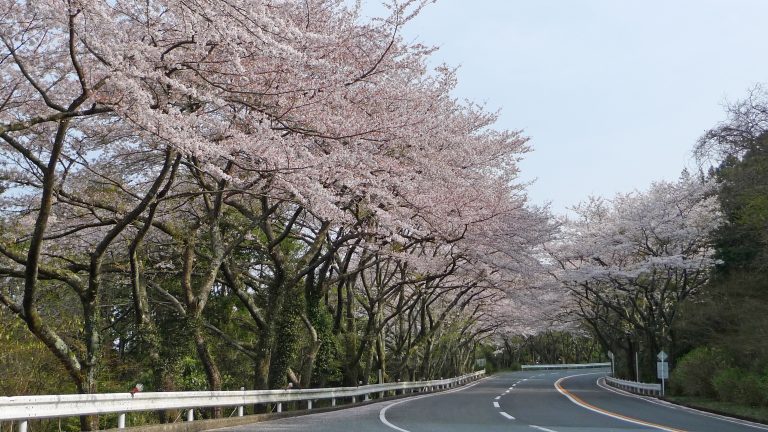 Hakone Turnpike