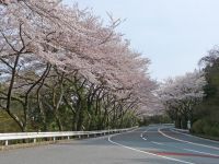 Hakone Turnpike