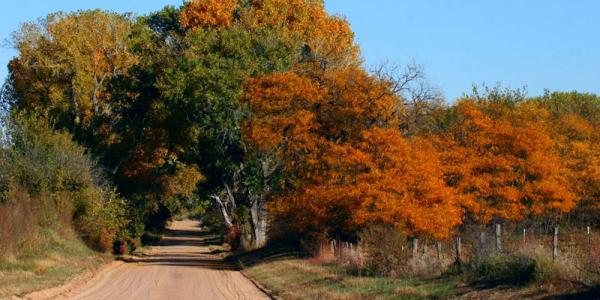 Wetlands And Wildlife Scenic Byway