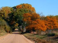 Wetlands And Wildlife Scenic Byway