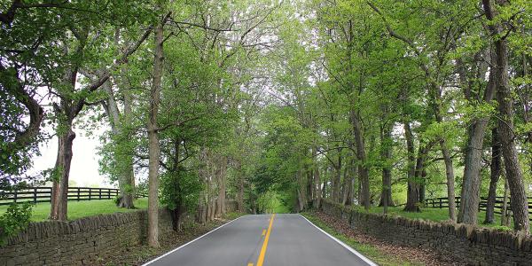 Old Frankfort Pike Historic and Scenic Byway