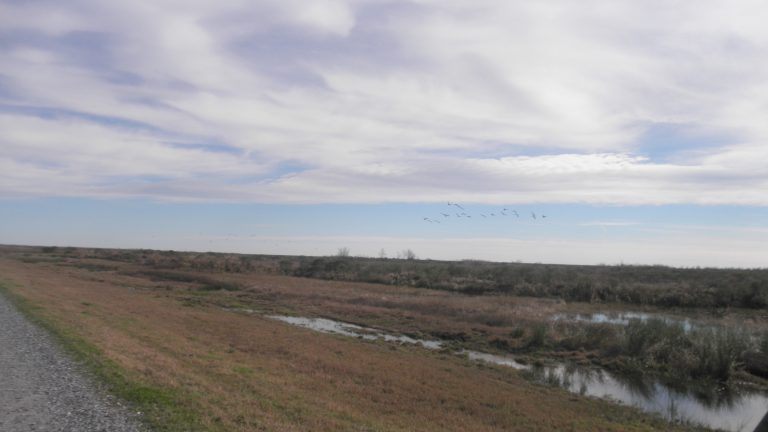 Creole Nature Trail