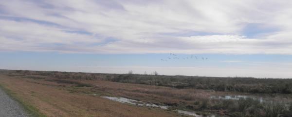 Creole Nature Trail