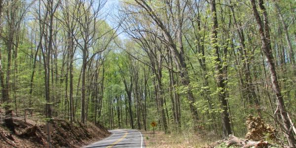 Religious Freedom Byway