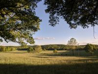 Ozark Mountain Highroad