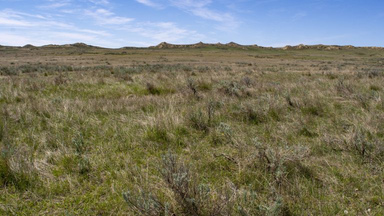 Big Sky Back Country Byway