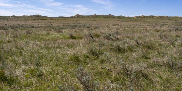 Big Sky Back Country Byway
