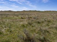 Big Sky Back Country Byway