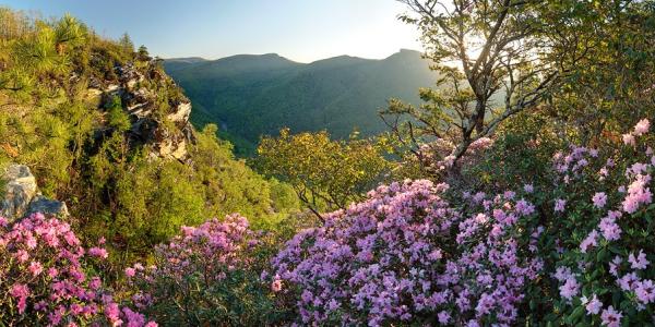 Pisgah Loop Scenic Byway
