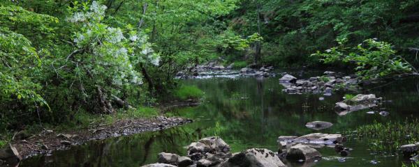 Scots-Welsh Heritage Byway