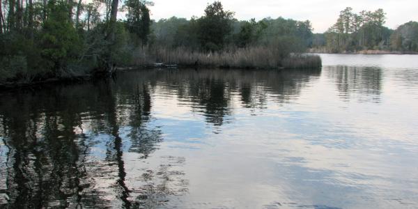 Pamlico Scenic Byway