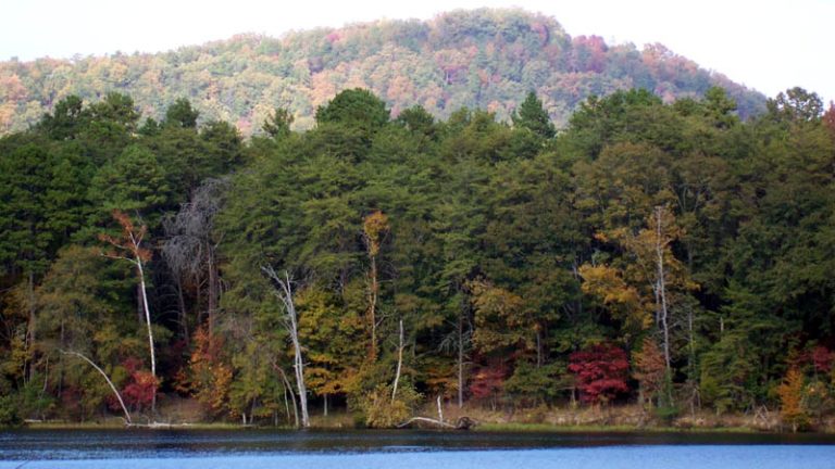 Pee Dee Valley Drive