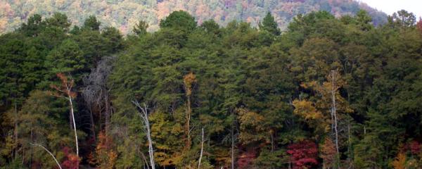 Pee Dee Valley Drive