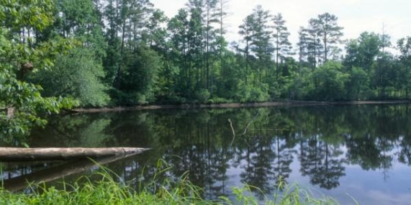 Uwharrie Scenic Road