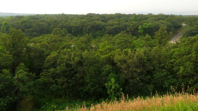 Turtle Mountain Scenic Byway