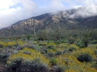 Harquahala Mountain Back Country Byway
