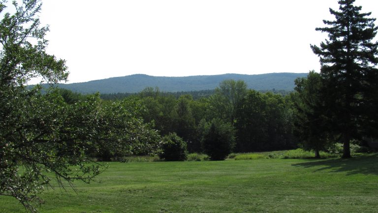 Moose Path Trail