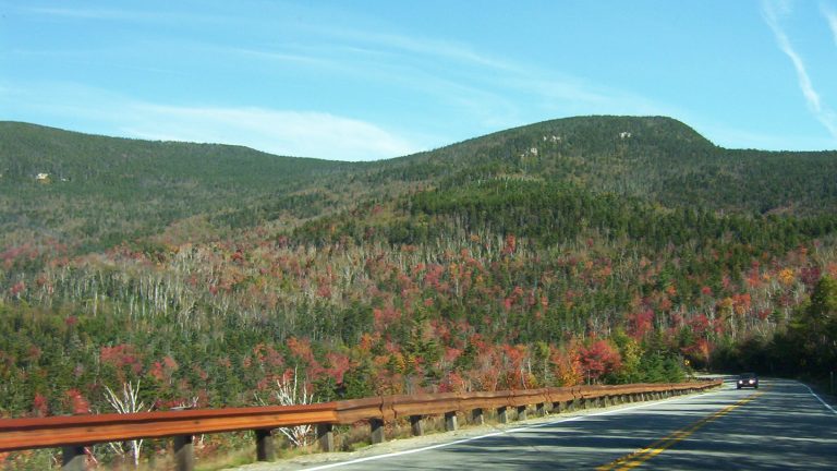 White Mountain Trail