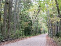 Pine Barrens Byway