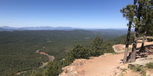 From The Desert To Tall Pines Scenic Road