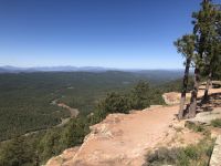 From The Desert To Tall Pines Scenic Road